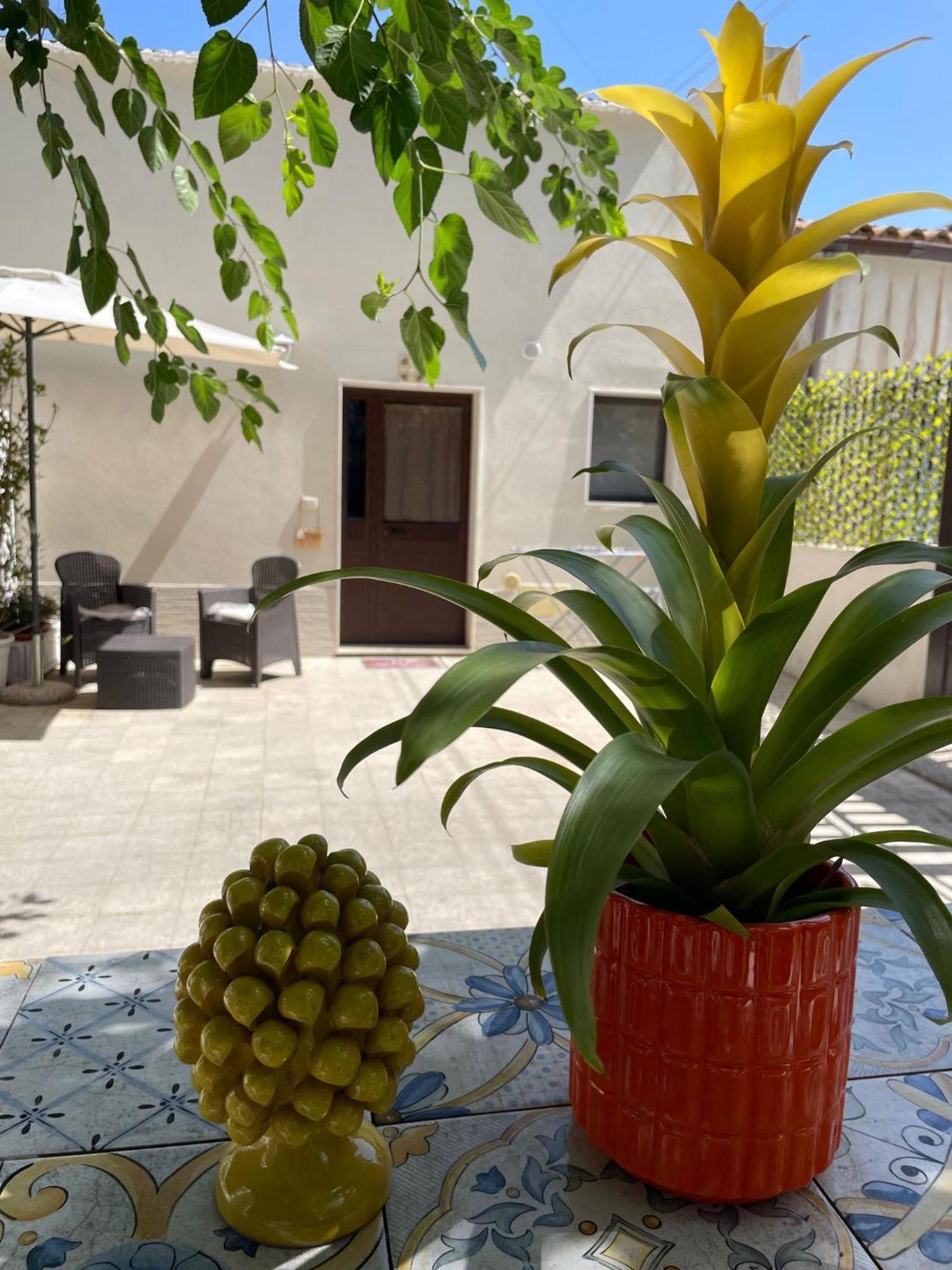 מלון סירקוזה Casacecilia Relax מראה חיצוני תמונה