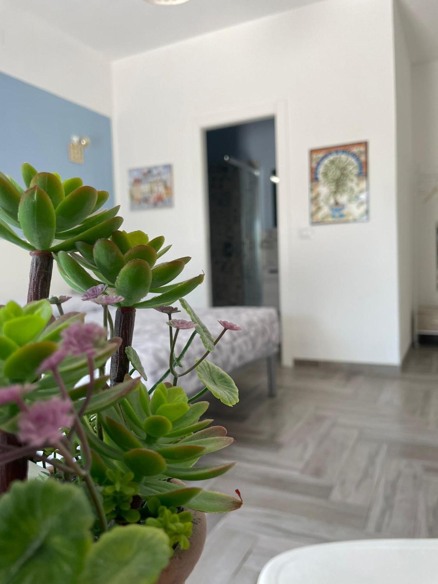 מלון סירקוזה Casacecilia Relax מראה חיצוני תמונה